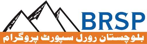 BRSP
